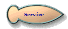 Service