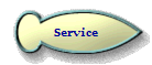 Service